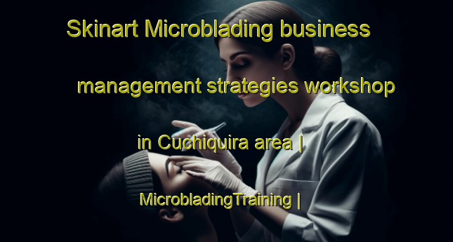 Skinart Microblading business management strategies workshop in Cuchiquira area | MicrobladingTraining | MicrobladingClasses | SkinartTraining-Colombia